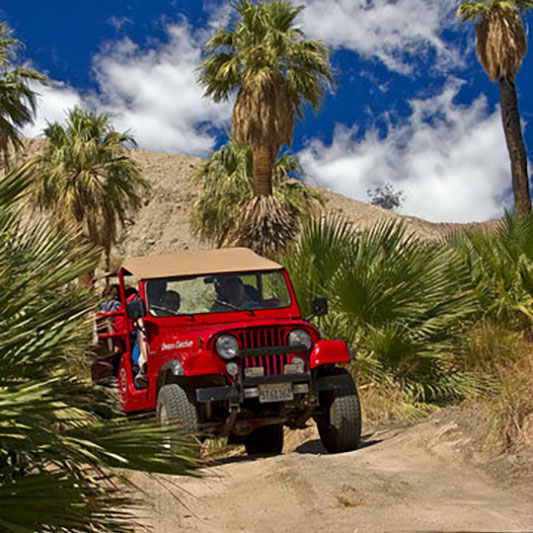 Joshua Tree Jeep Tour